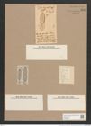 Navicula dalmatica Grun. (de-Toni-Nr.: Genus 1, Species 246) Zeichnungen Sammlung Grunow Nr. 586 (NHMW-BOT-W0366944)